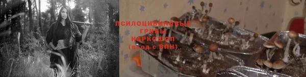 мяу мяу мука Кукмор