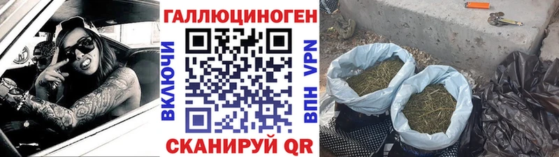 сколько стоит  Называевск  Галлюциногенные грибы мухоморы 